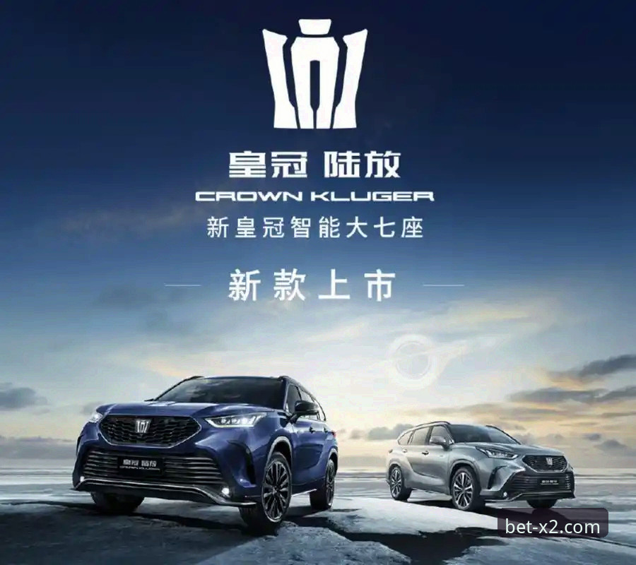 皇冠新2平台必备实用技巧：从入门到精通的完整操作指南
